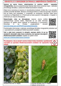 Obvestilo o obveznem zatiranju ameriškega škržatka